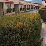 Motel San Noe en Sonora, Agua Prieta