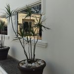 Motel Plaza Miramar en Tamaulipas, Ciudad Madero