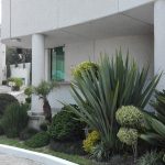 Xol-ha en Ciudad De México, Tlalpan