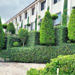 Hotel Campo Real en Ciudad De México, Xochimilco Hotel Campo Real en Ciudad De México, Xochimilco