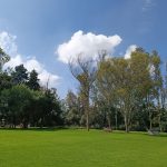 Rancho De Los Leones en México, Teoloyucan Rancho De Los Leones en México, Teoloyucan