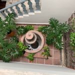 Viamonte House Boutique en Guanajuato, León de los Aldama Viamonte House Boutique en Guanajuato, León de los Aldama