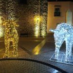Hotel San Andres en Guanajuato, Salvatierra Hotel San Andres en Guanajuato, Salvatierra