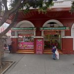 Palmitas en Hidalgo, Pachuca de Soto